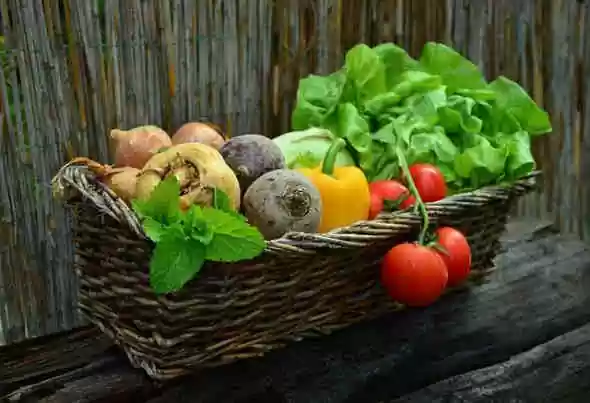 festival vegetariano
