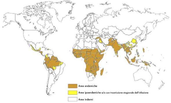 Da Bisoffi et al.,"Malaria" - Selecta medica - 2006 