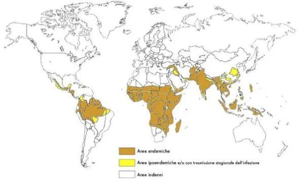 Da Bisoffi et al.,"Malaria" - Selecta medica - 2006 