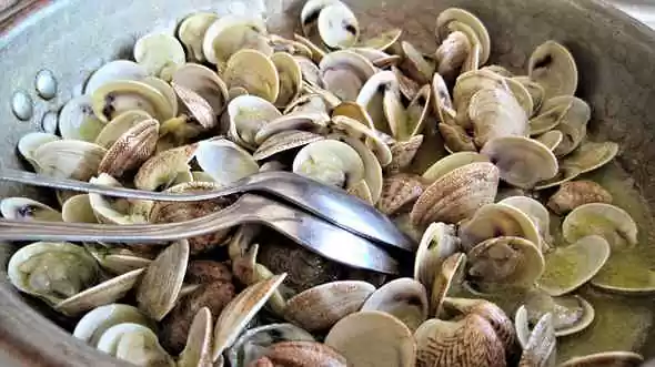 vongole -festa delle cape - lignano sabbiadoro