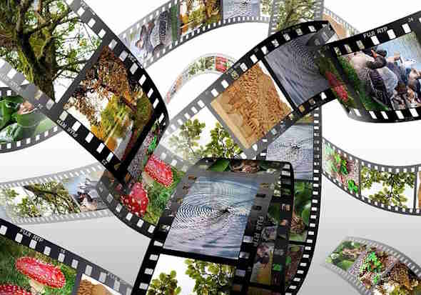 documentario pellicola documentario pellicola