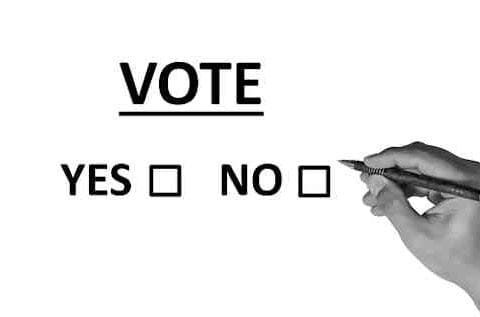 referendum voto