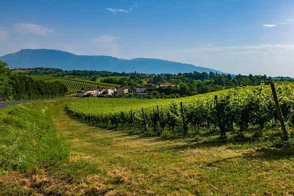 Al via la Fiera Internazionale dell’Agricoltura