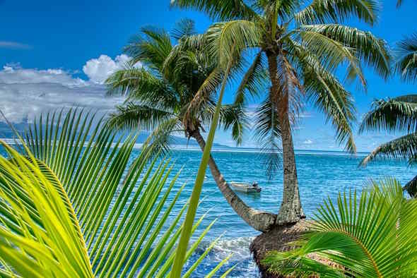 Mostra fotografica: “Le Isole di Tahiti. L’anima primordiale”